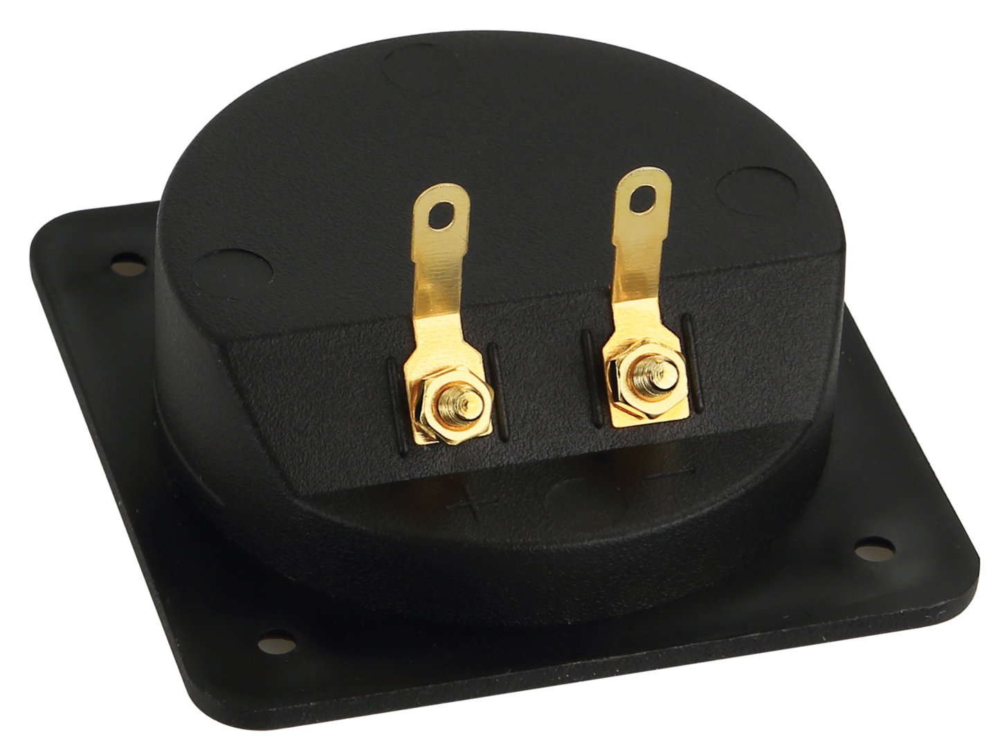 ACV 30.4060-00 - Two Pin Speaker/Subwoofer Box Terminal