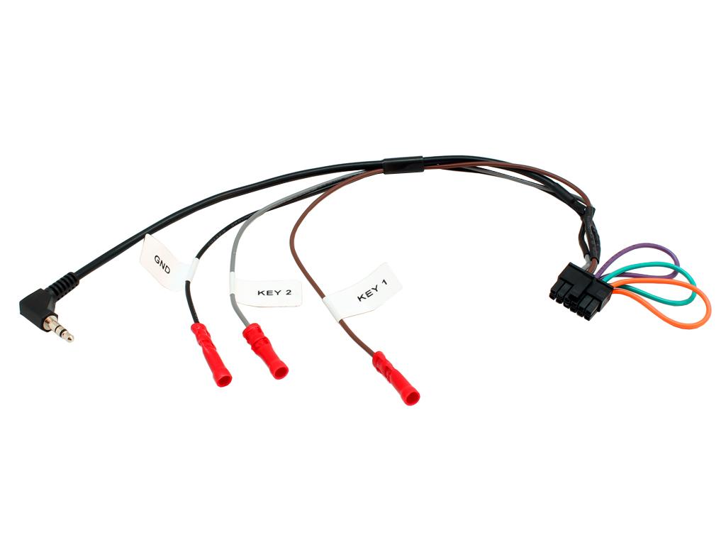 CT MULTILEAD